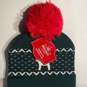 Holiday Time Festive Green and Red Kids Beanie unisex new